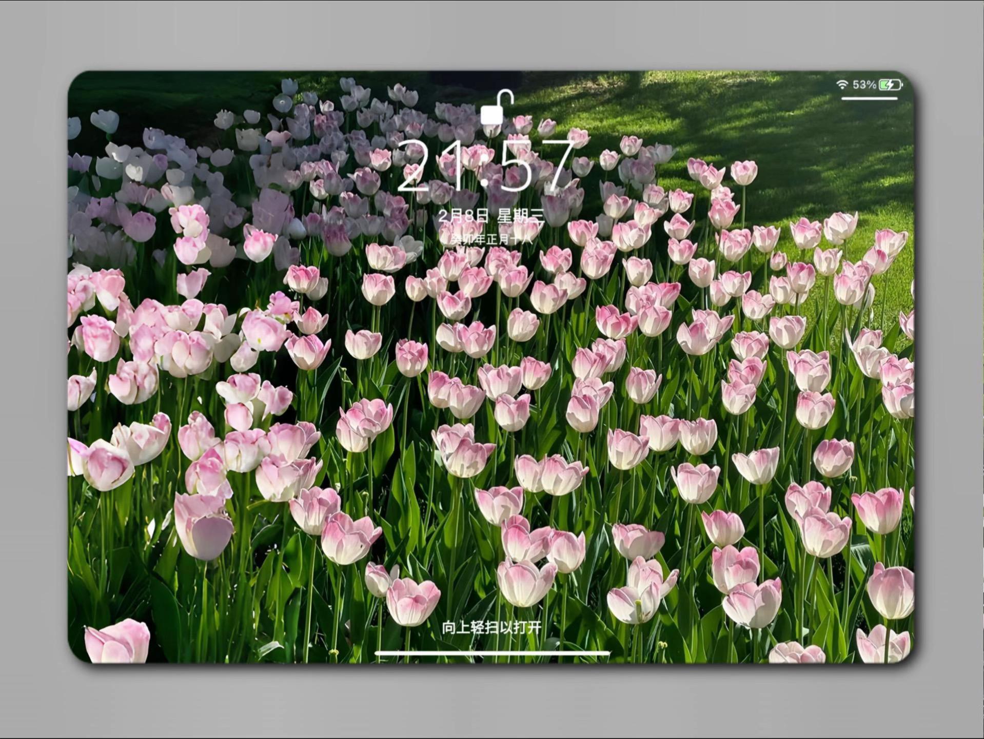 Flower Aesthetic Wallpapers wallpaper 1
