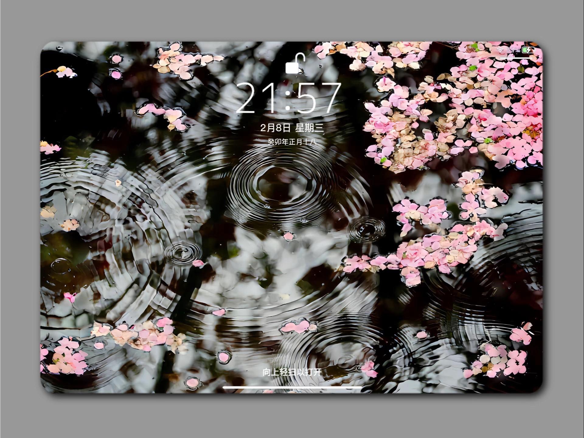 Flower Aesthetic Wallpapers wallpaper 7