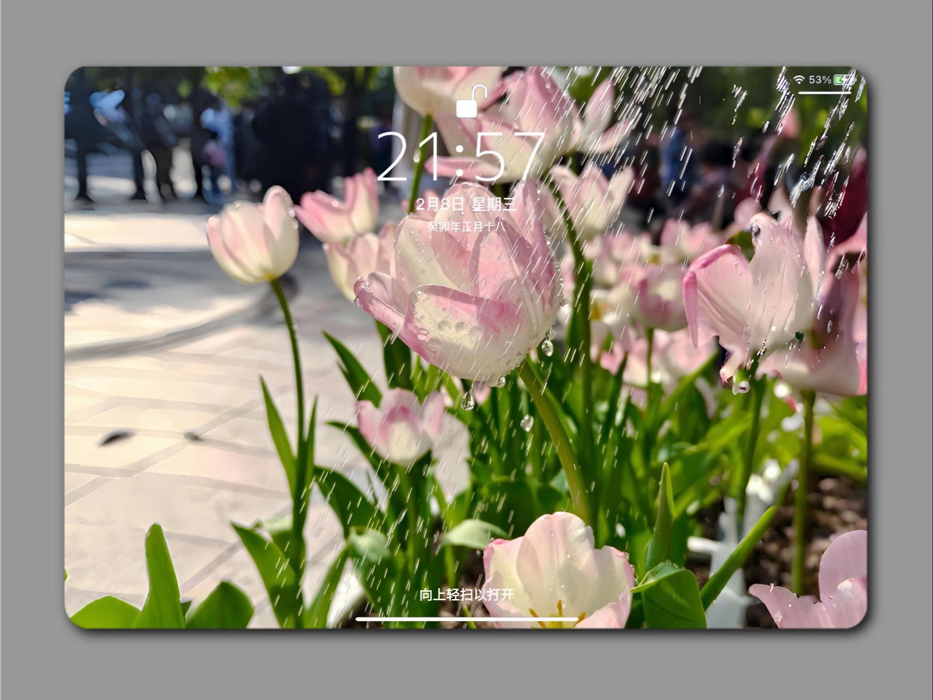 Flower Aesthetic Wallpapers wallpaper 17
