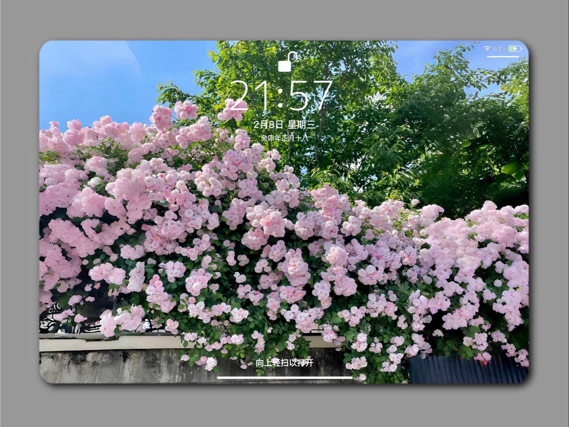 Flower Aesthetic Wallpapers wallpaper 21