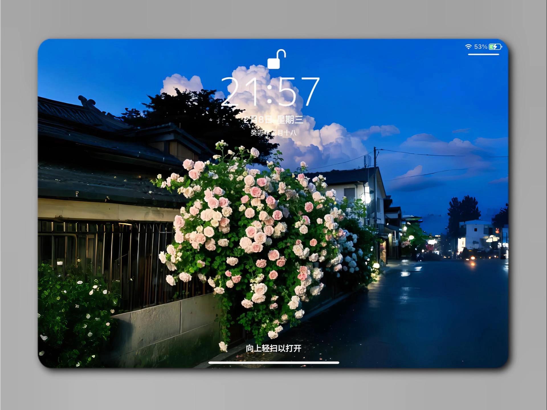 Flower Aesthetic Wallpapers wallpaper 27