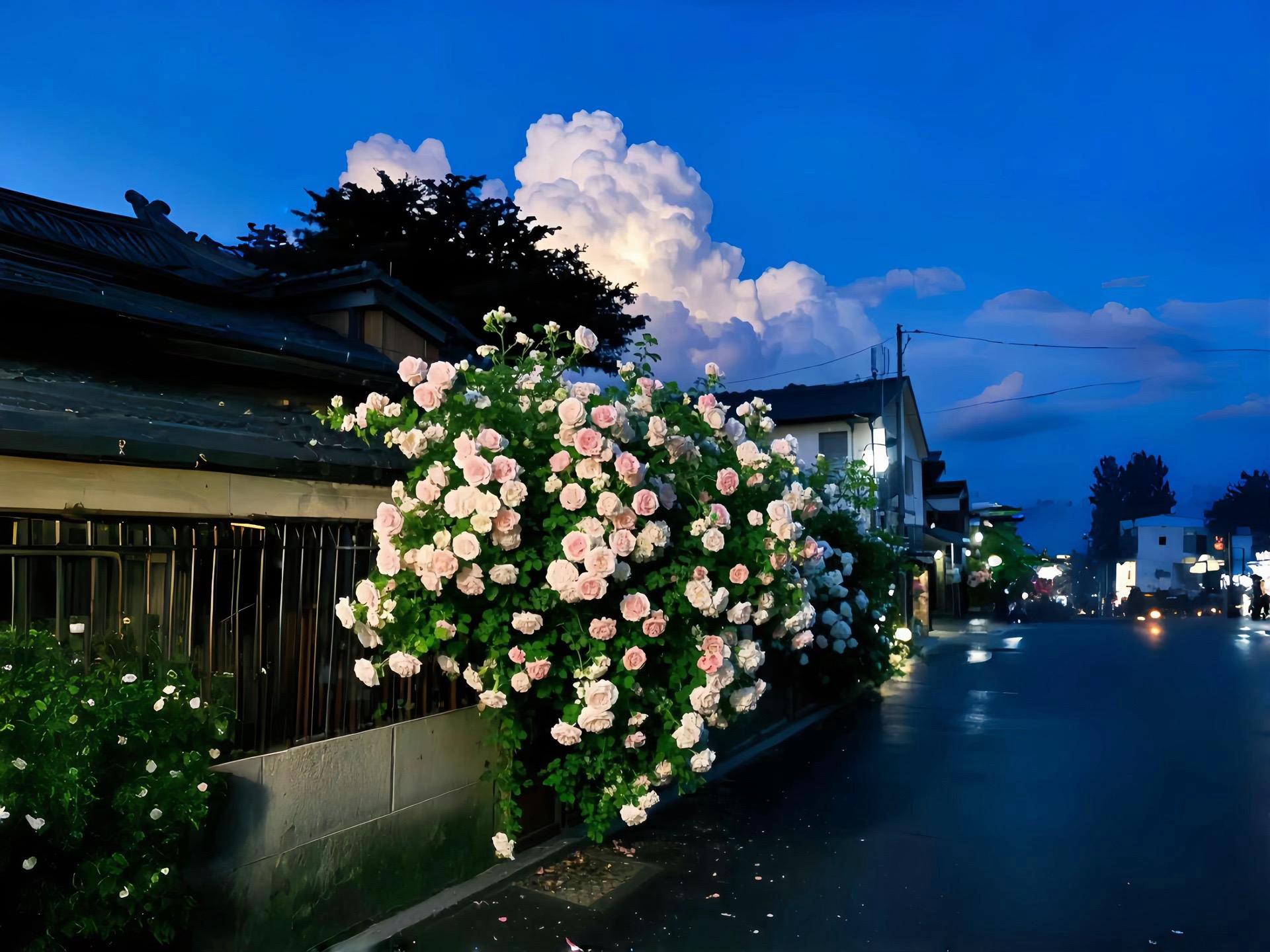 Flower Aesthetic Wallpapers wallpaper 28