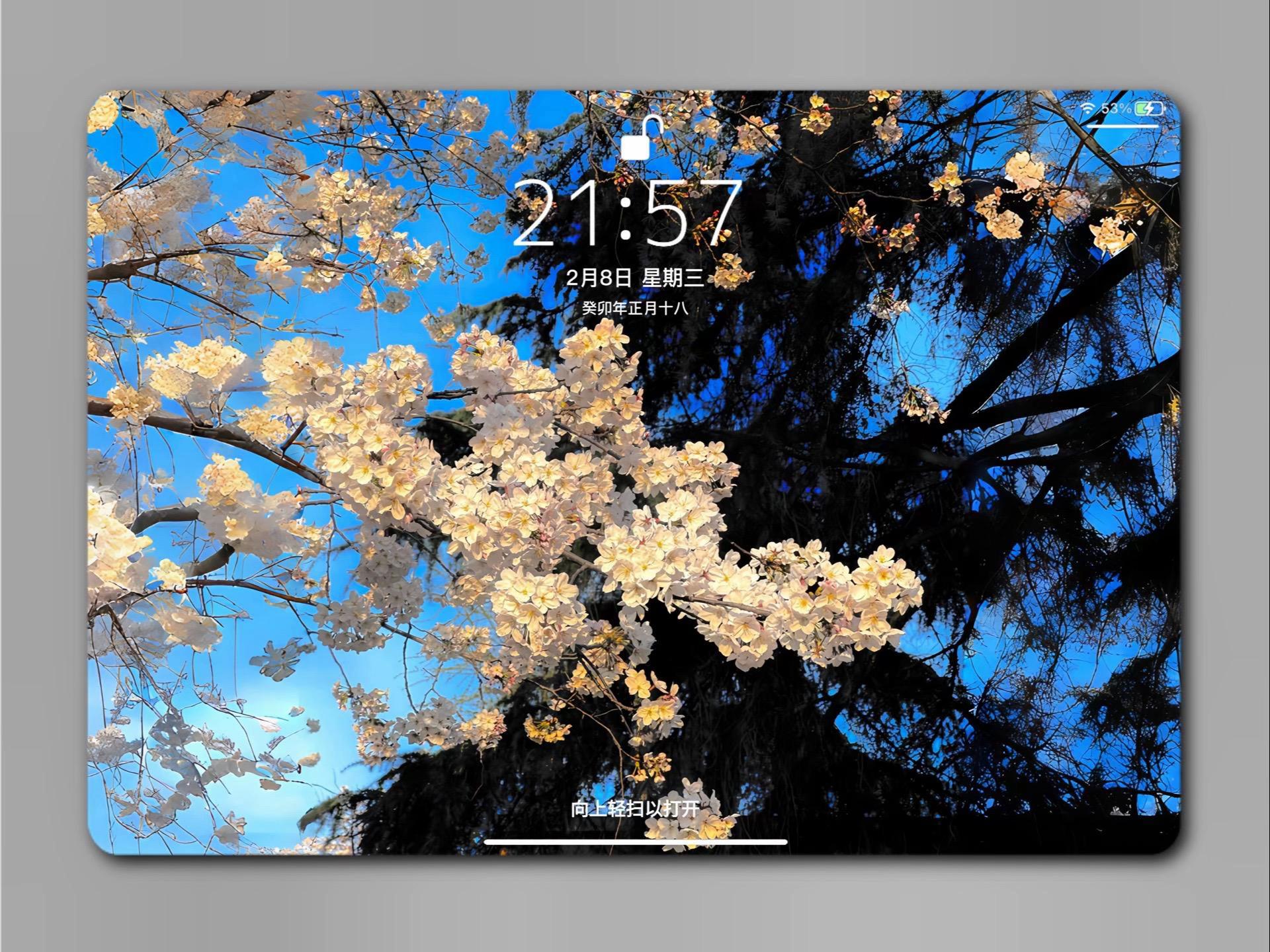 Flower Aesthetic Wallpapers wallpaper 29